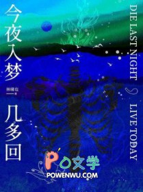 今夜入梦几多回讲什么
